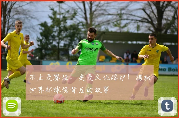 不止是赛场,更是文化熔炉!揭秘世界杯球场背后的故事